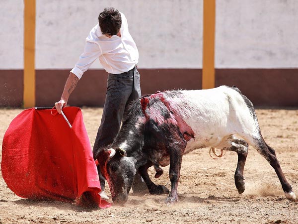 Poder y mando