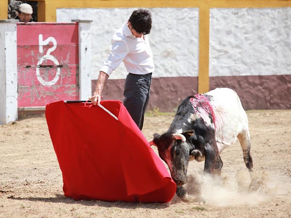 En los medios de la placita