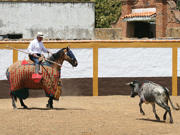 Se arranca con bravura