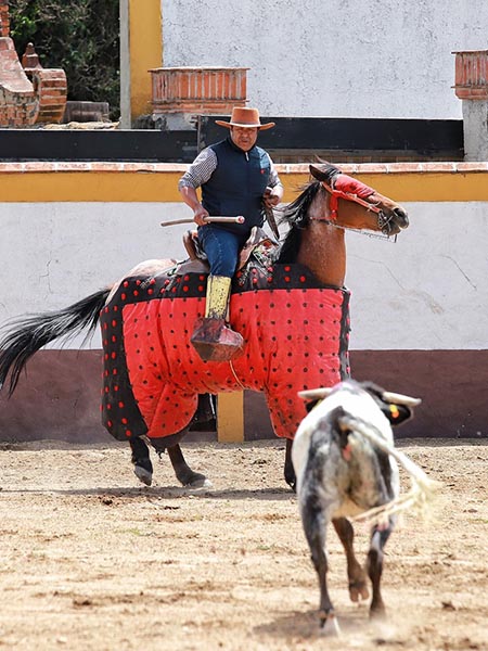 Tranco y ritmo hacia el caballo