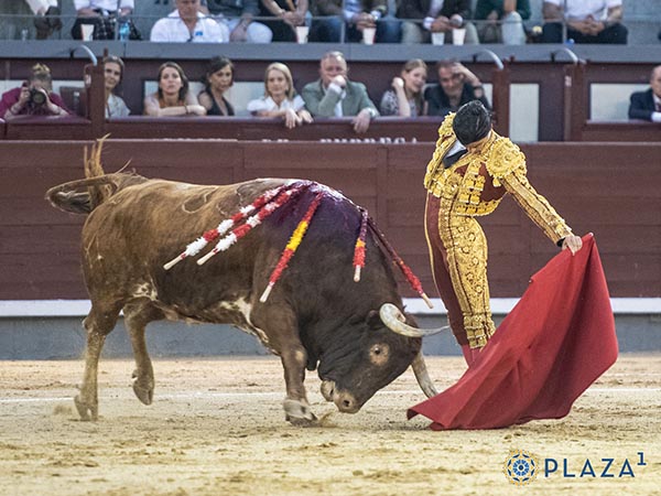 Pit�n izquierdo