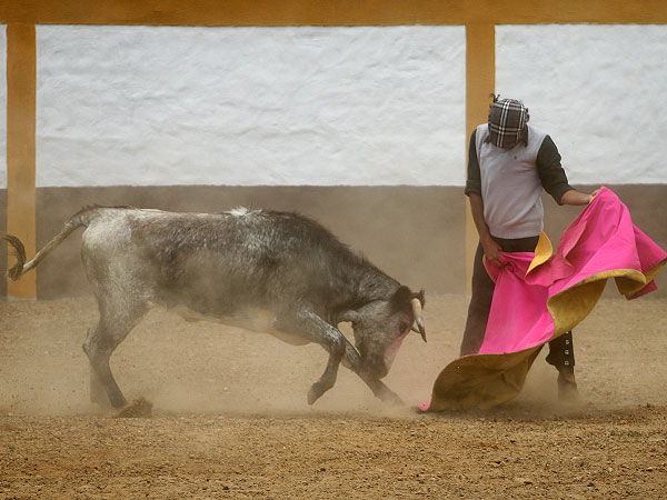 Recibiendo a la ver�nica