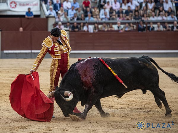 En el centro del ruedo