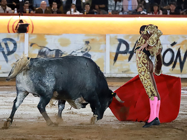 Calidad en la embestida