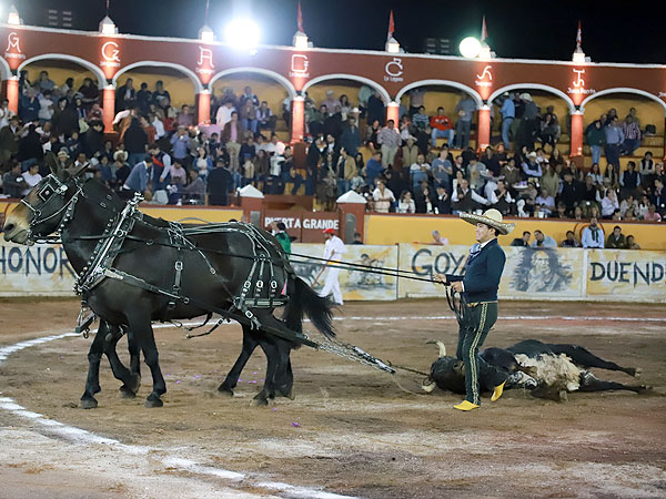Ovacionado en el arrastre