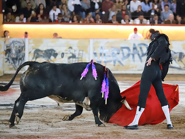 Gran Toro de Hamdam