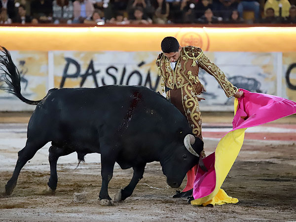 H�ctor Guti�rrez