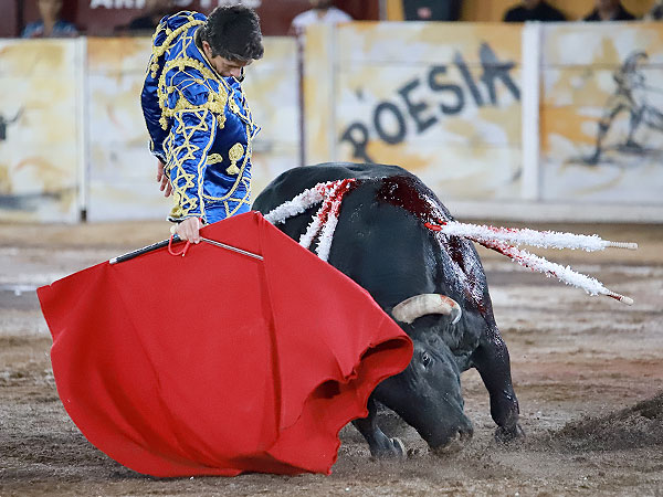 Disfrutando el toreo
