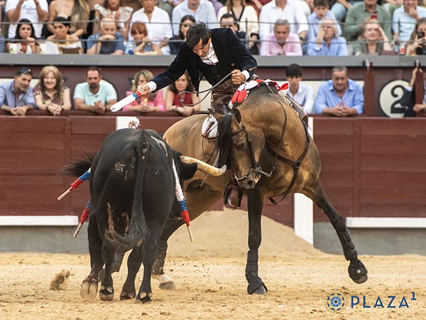 C�tedra de toreo a caballo