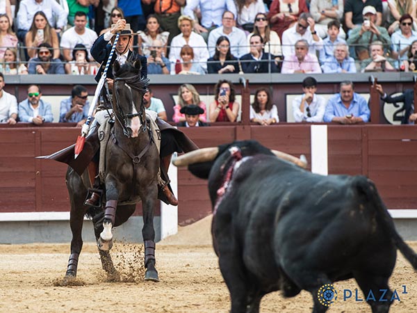Dominio de las suertes