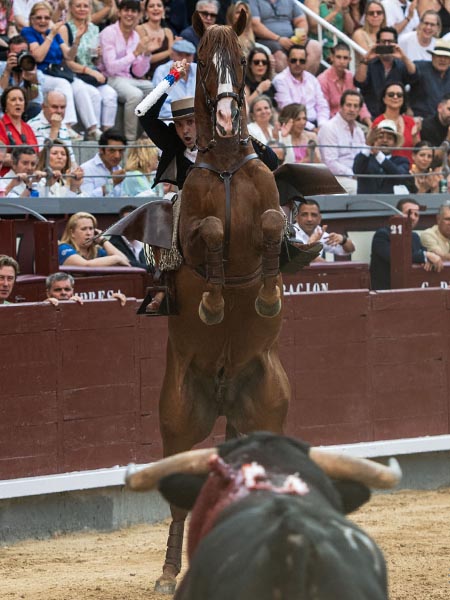 Cite en la alzada
