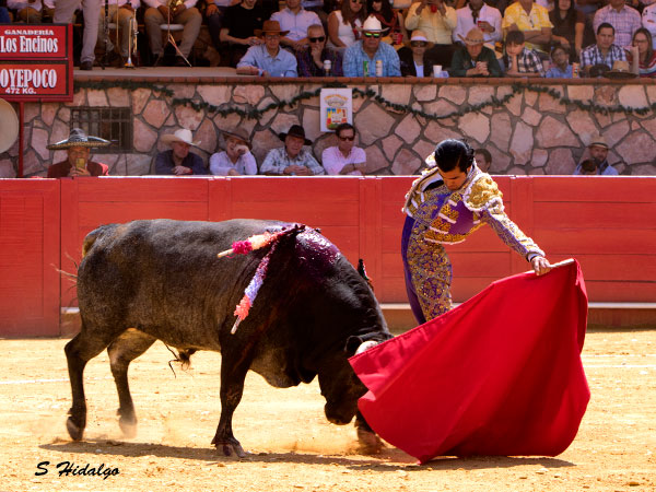 Buscando el triunfo