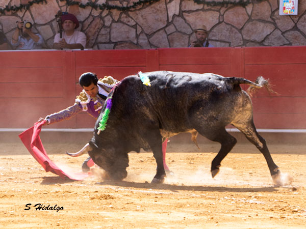 De hinojos