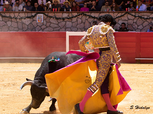 Al paso