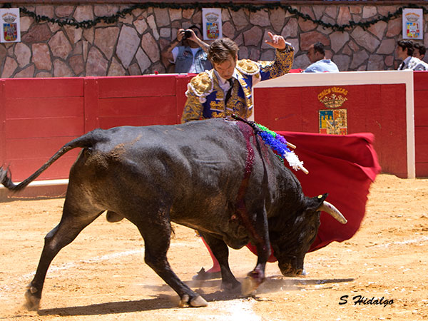 Esforzado