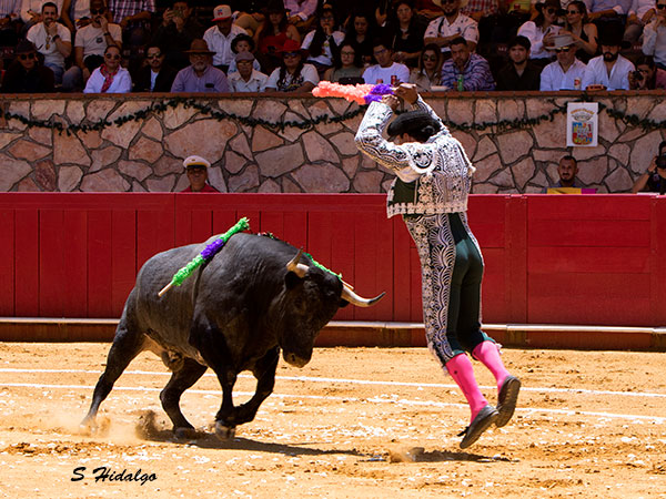 Huerta en acci�n
