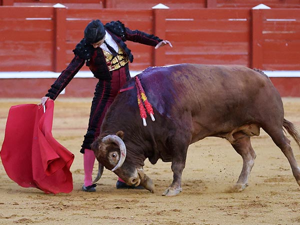 Mirada de codicia