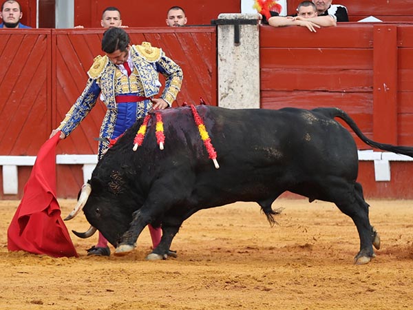 Inspiraci�n sevillana