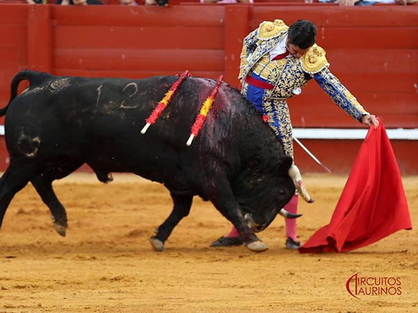 Entonado