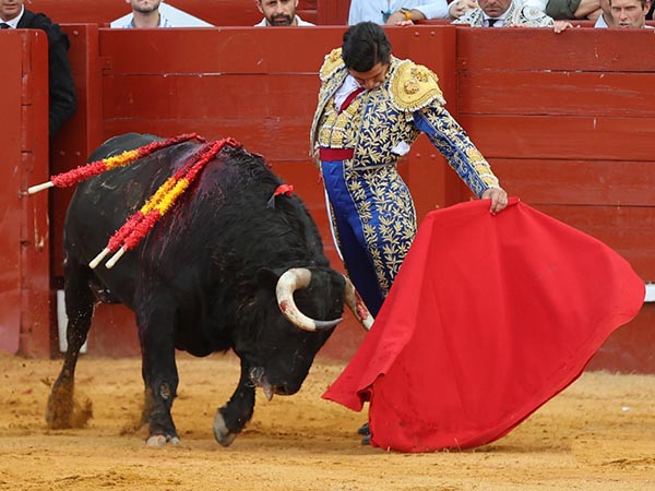 Magn�ficos naturales