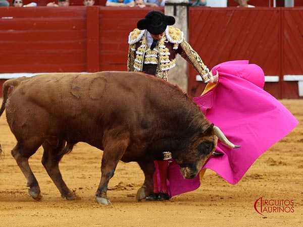 Verticalidad en las gaoneras