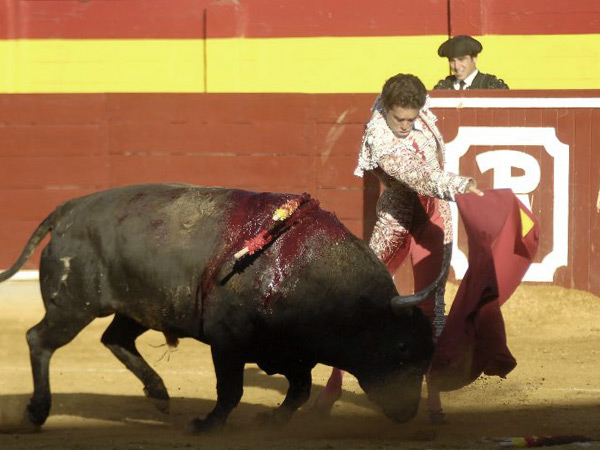 Enganchado con los vuelos