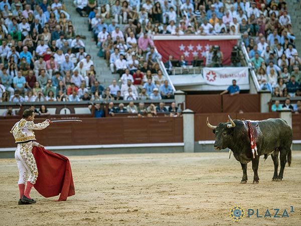 Espada con mira telesc�pica