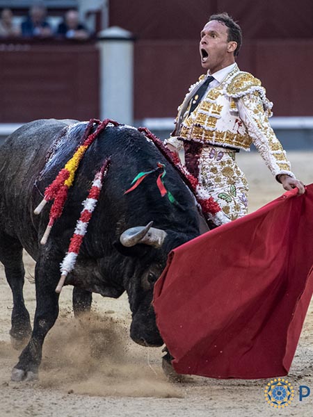 Fr�netico y de constantes gui�os a galer�a