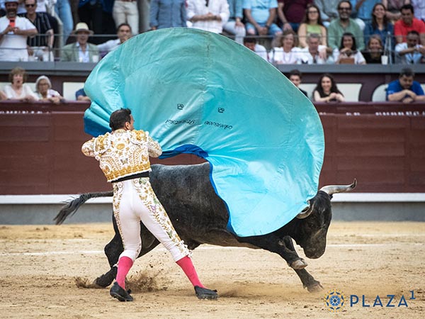 Acelerado y nervioso en el quite