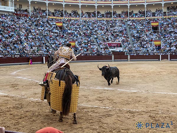 Ese raro gesto de subirse al caballo
