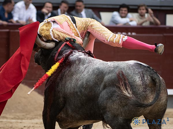 Herido en el muslo izquierdo