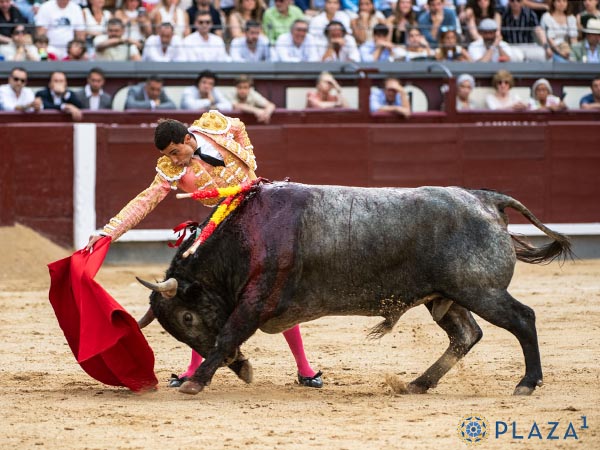 Lucido en el manejo de muleta