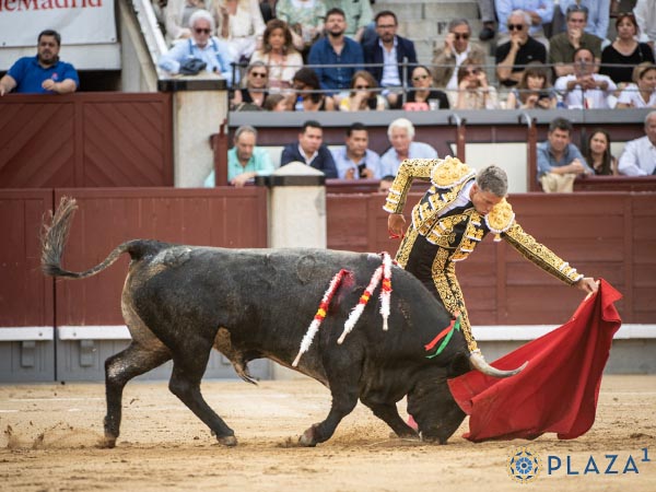 Largueza por el izquierdo