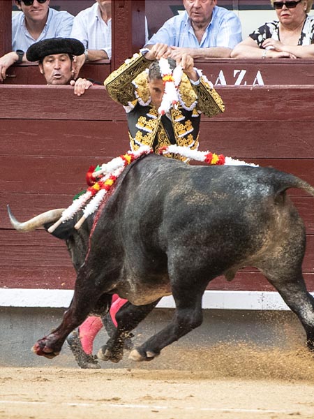 Par por los adentros