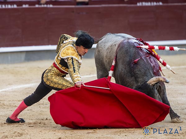 Entre dudas y exigencias los "escolares"