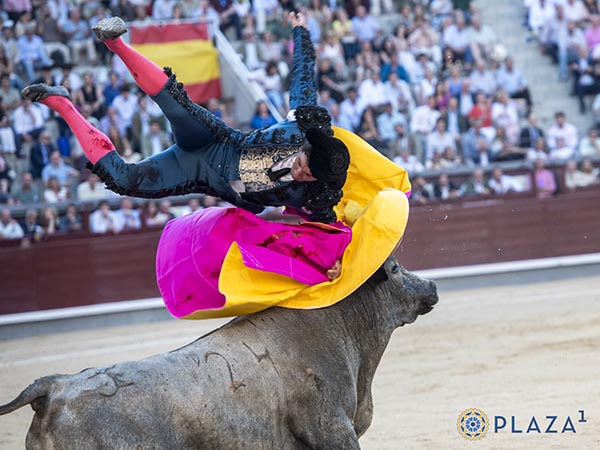 Rub�n S�nchez, herido en el quinto