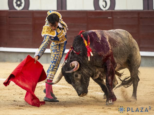 Largu�sima faena al sexto
