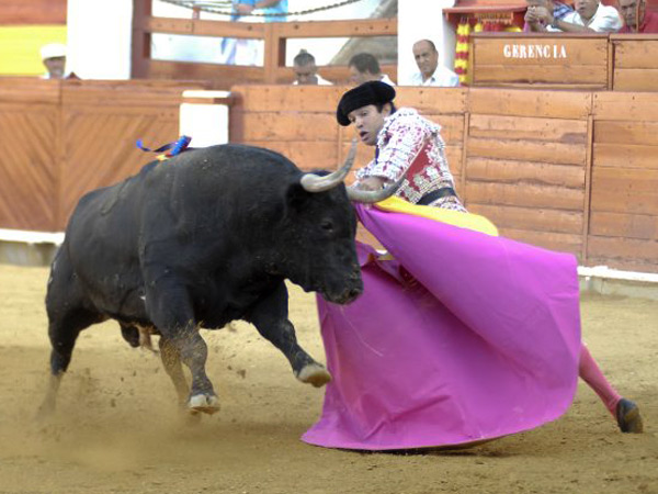 La media ver�nica del saludo