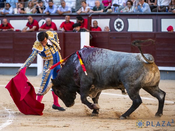 Series por el derecho