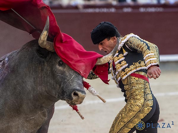 Por alto