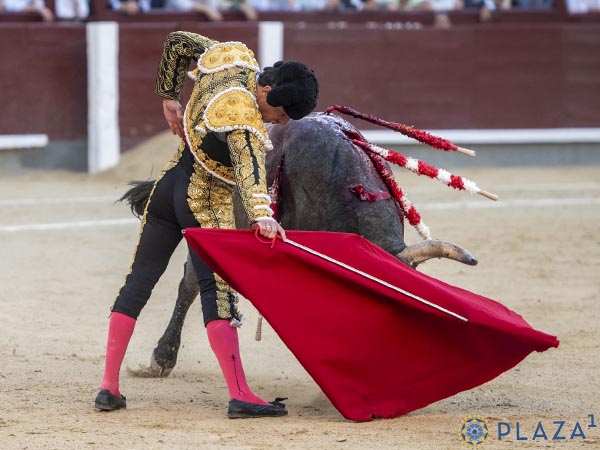 Tirando del c�rdeno