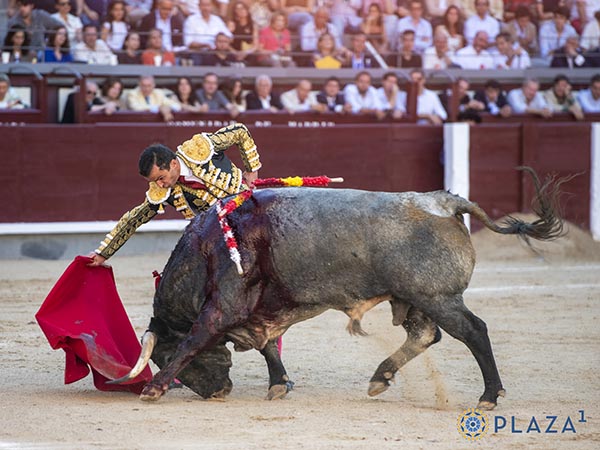 Los belfos en la arena