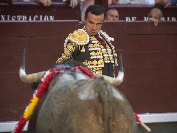 Frente a frente