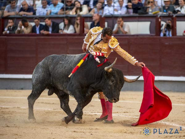Trazo largo