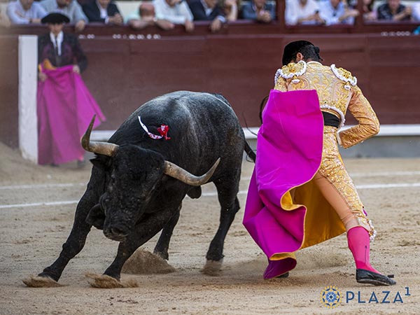 Recorte de capote