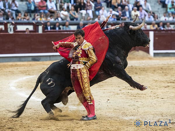 Ismael Mart&iacute;n conquista Las Ventas
