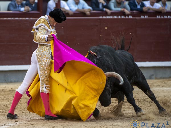 Samuel, a la ver�nica
