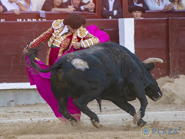 Lucido en los quites