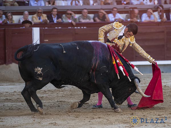 Por el lado zurdo