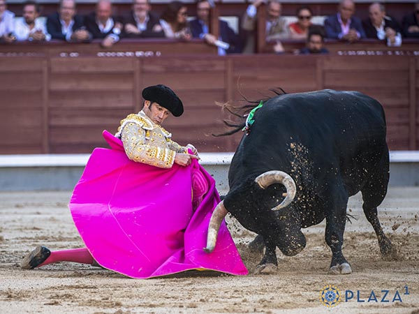 Remate rodilla en tierra
